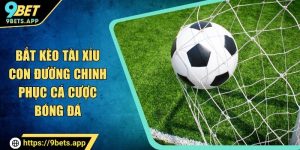 bắt kèo tài xỉu 9bet